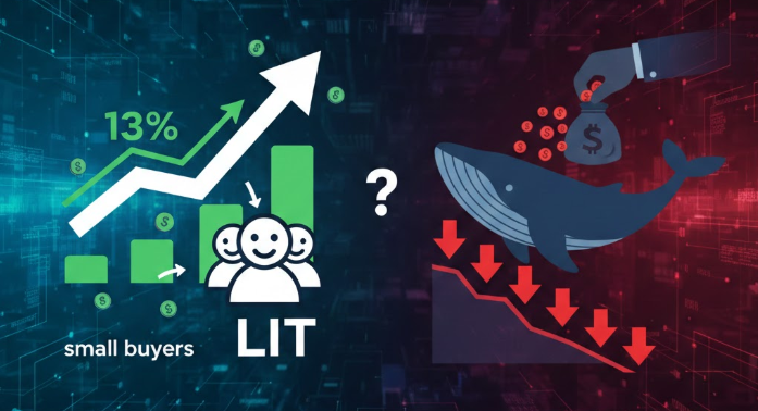 LIT tăng vọt 13% nhờ lực mua nhỏ lẻ, nhưng vì sao cá voi vẫn âm thầm xả hàng?