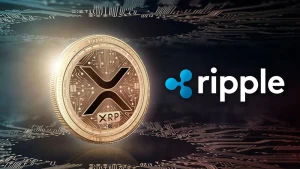 David Schwartz bình luận khi những cáo buộc cũ về Epstein kéo Ripple và XRP trở lại tâm điểm chú ý