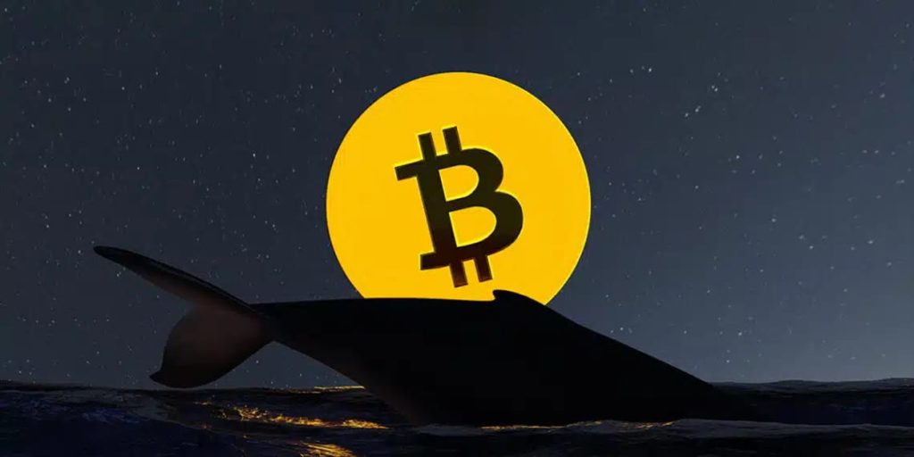 Bitcoin bị xả số lượng lớn: Chuyên gia nói gì về khả năng phục hồi?缩略图 Blog Tiền Ảo trên Google News