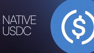 USDC vượt USDT về khối lượng giao dịch thực tế trong năm nay: Mizuho