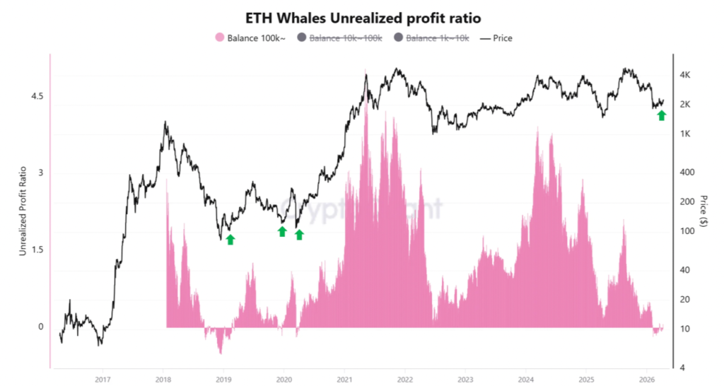 Whale ETH bất ngờ có lãi trở lại, liệu giá Ether có bứt phá kỷ lục lên 3.000 USD?