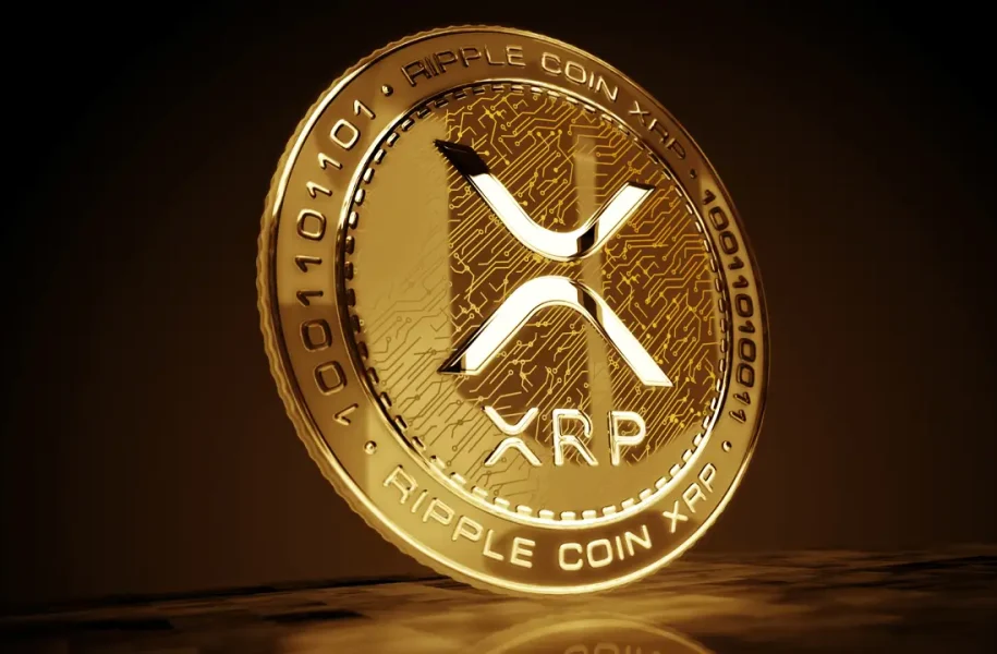 Chuyên gia cảnh báo XRP: Dữ liệu on-chain vừa phát tín hiệu đáng lo