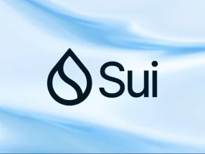logo-footer