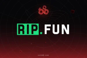 logo-footer