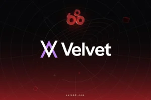 logo-footer