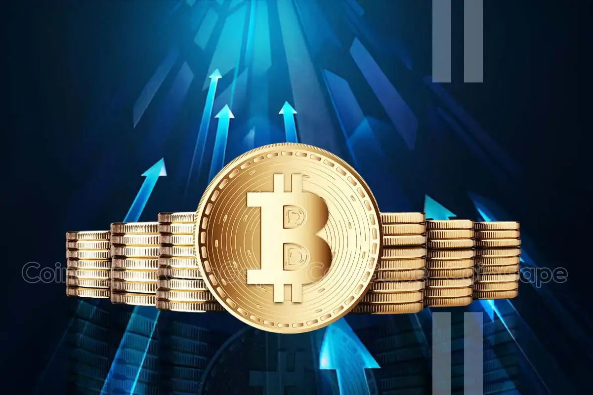Bitcoin vượt 66.000 USD, cú tăng này là khởi đầu chu kỳ mới hay chỉ là bong bóng sắp vỡ?